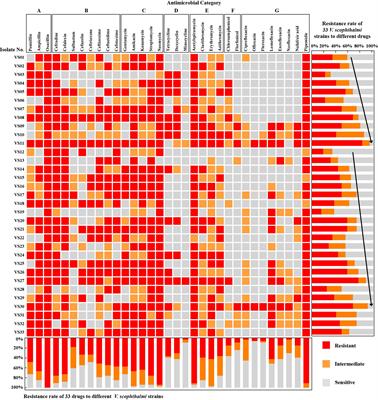 Antimicrobial Resistance and Genotype Characteristics of Vibrio scophthalmi Isolated from Diseased Mariculture Fish Intestines With Typical Inter-Annual Variability